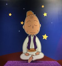 可可