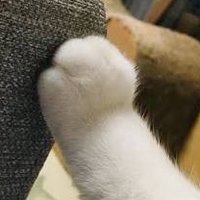 肉粽要配甜辣醬🌶️