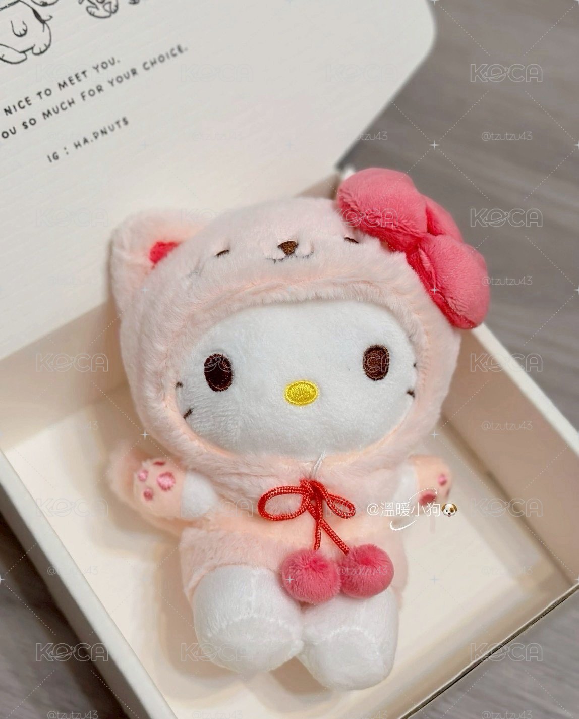 三麗鷗 貓咪裝Kitty