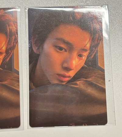 背頭訓 （3月中寄出）