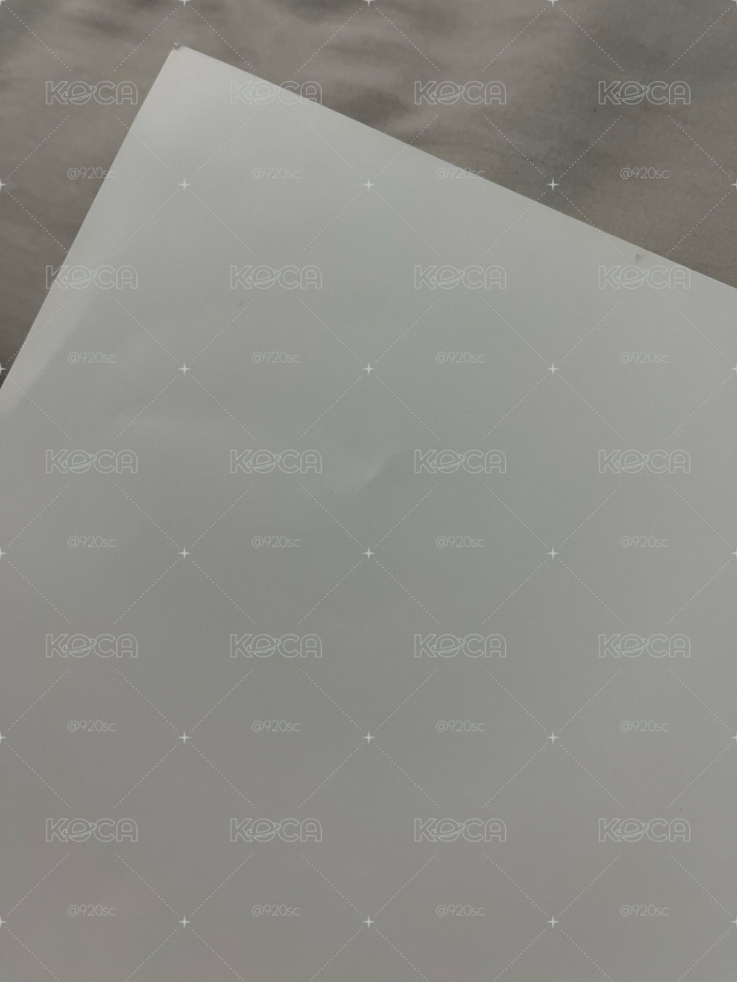 十週年電影包場