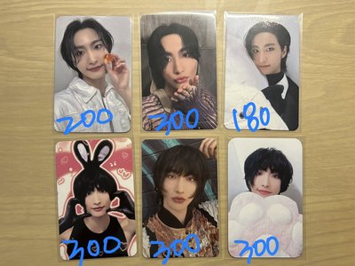 ATEEZ 朴星化 灰兔粉兔 大盤