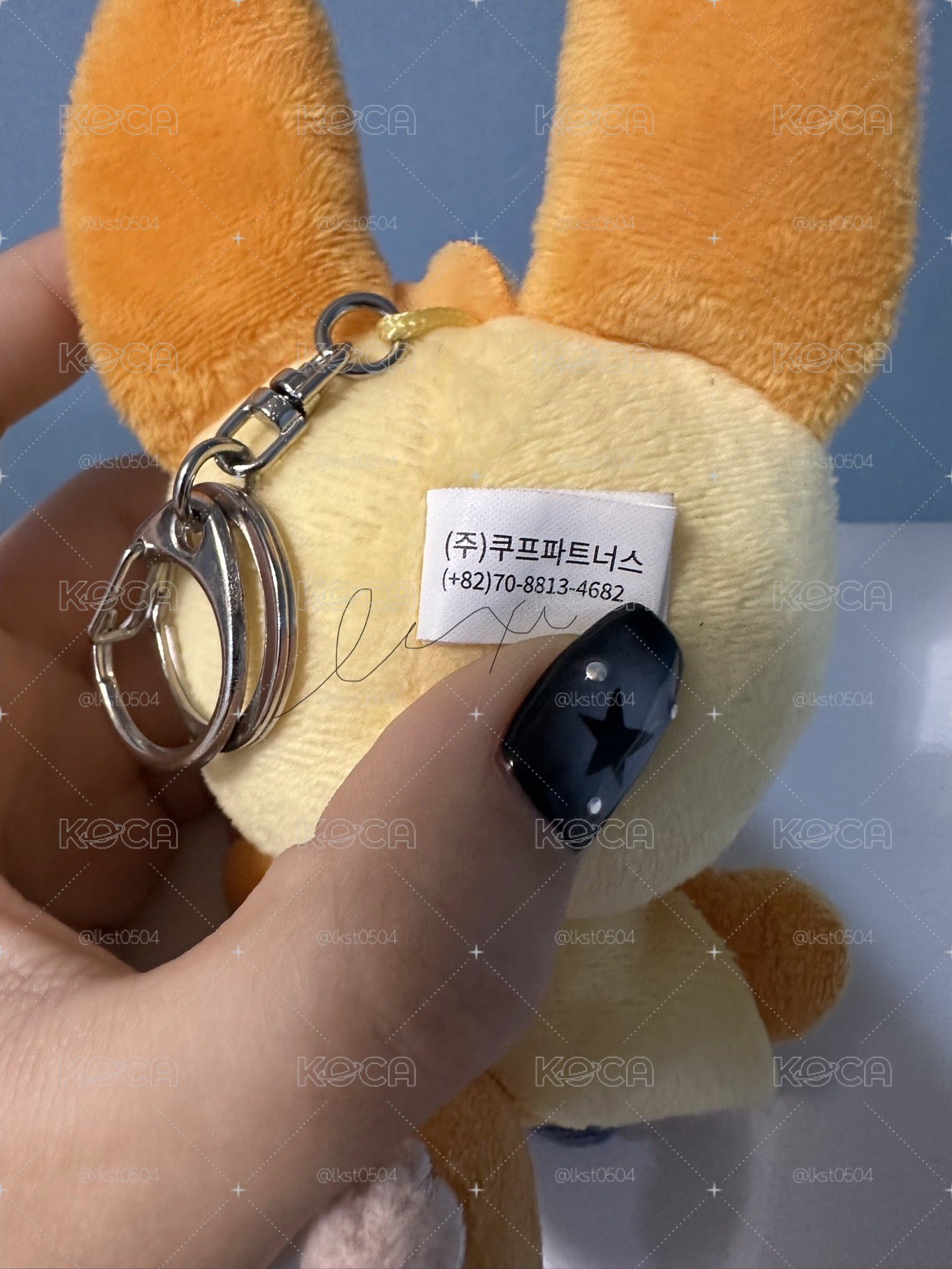 原皮黃春