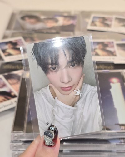 日專顯（複數）