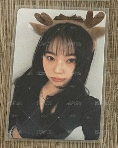 中背小鹿圭