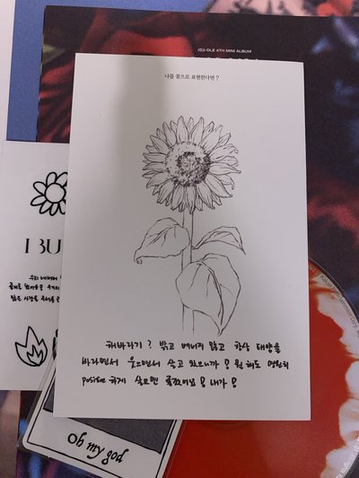 idle 迷四 I BURN 已拆全專（僅缺一小卡）