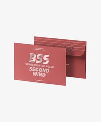 BSS ’SECOND WIND’ 電子專 