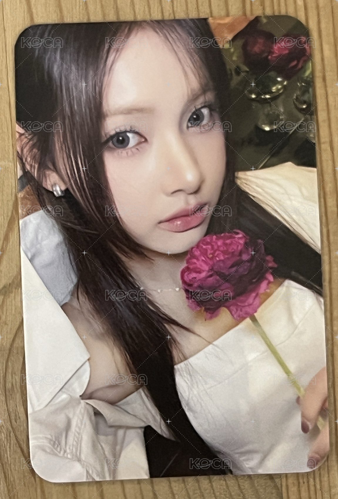 紅花 卡尼