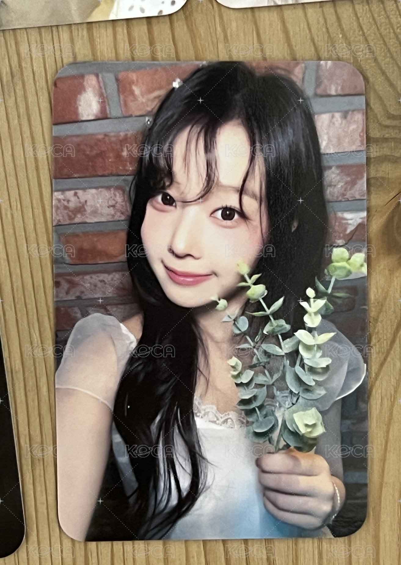白衣導熙