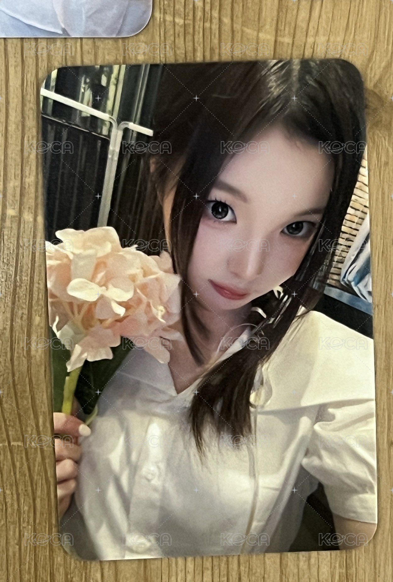 花花升注 