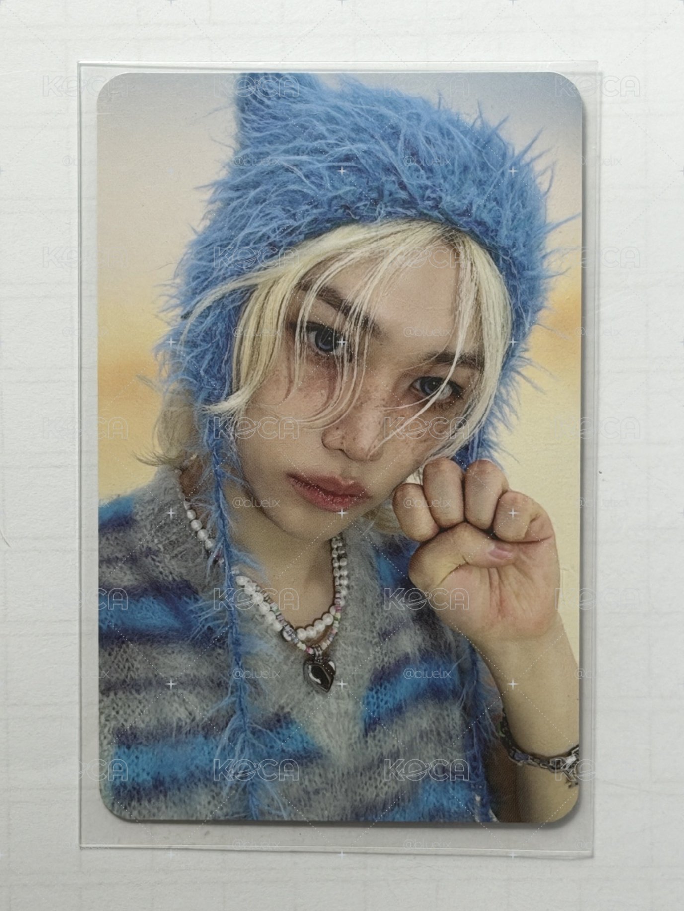 貓爪菲