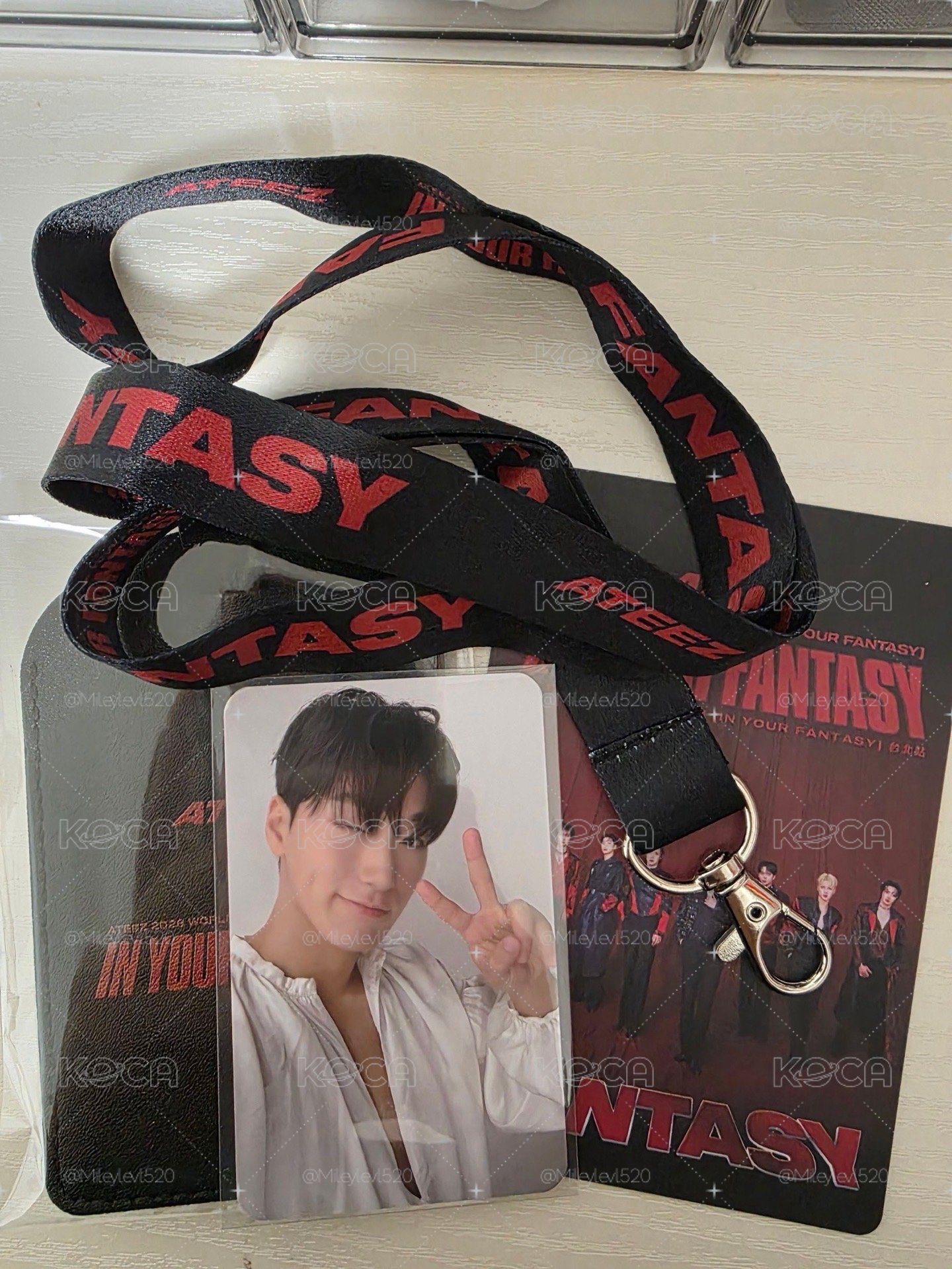 IYF台北場崔傘粽卡+fantasy VIP 會員禮整圖售