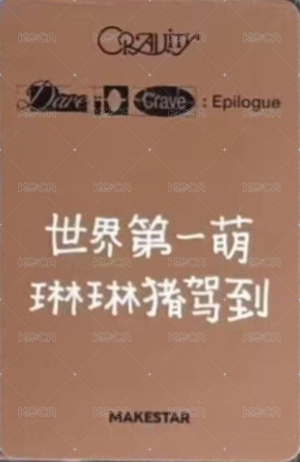 DtC : E ms 1.0 簽售卡 水豚 背面