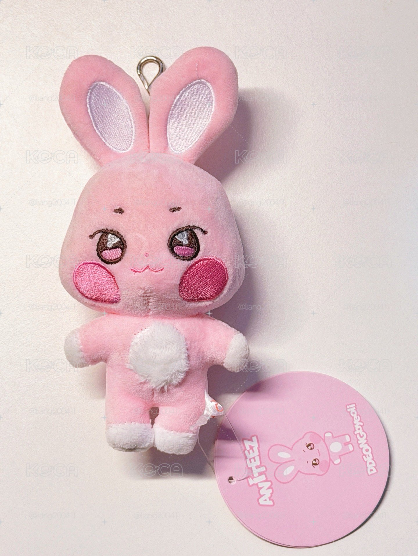 咚星吊飾娃⭐️🐰