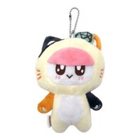 19’快閃店 娃娃 貓咪蹦蹦