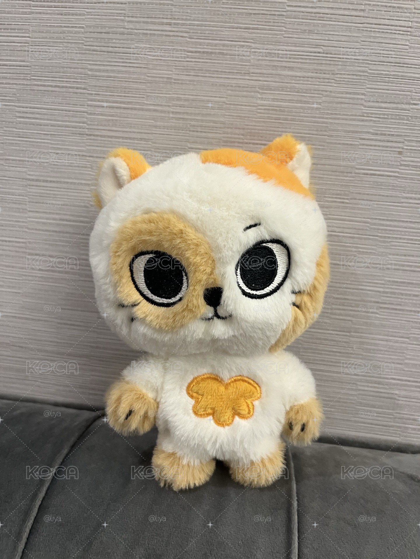 CATBIBI 二販直出