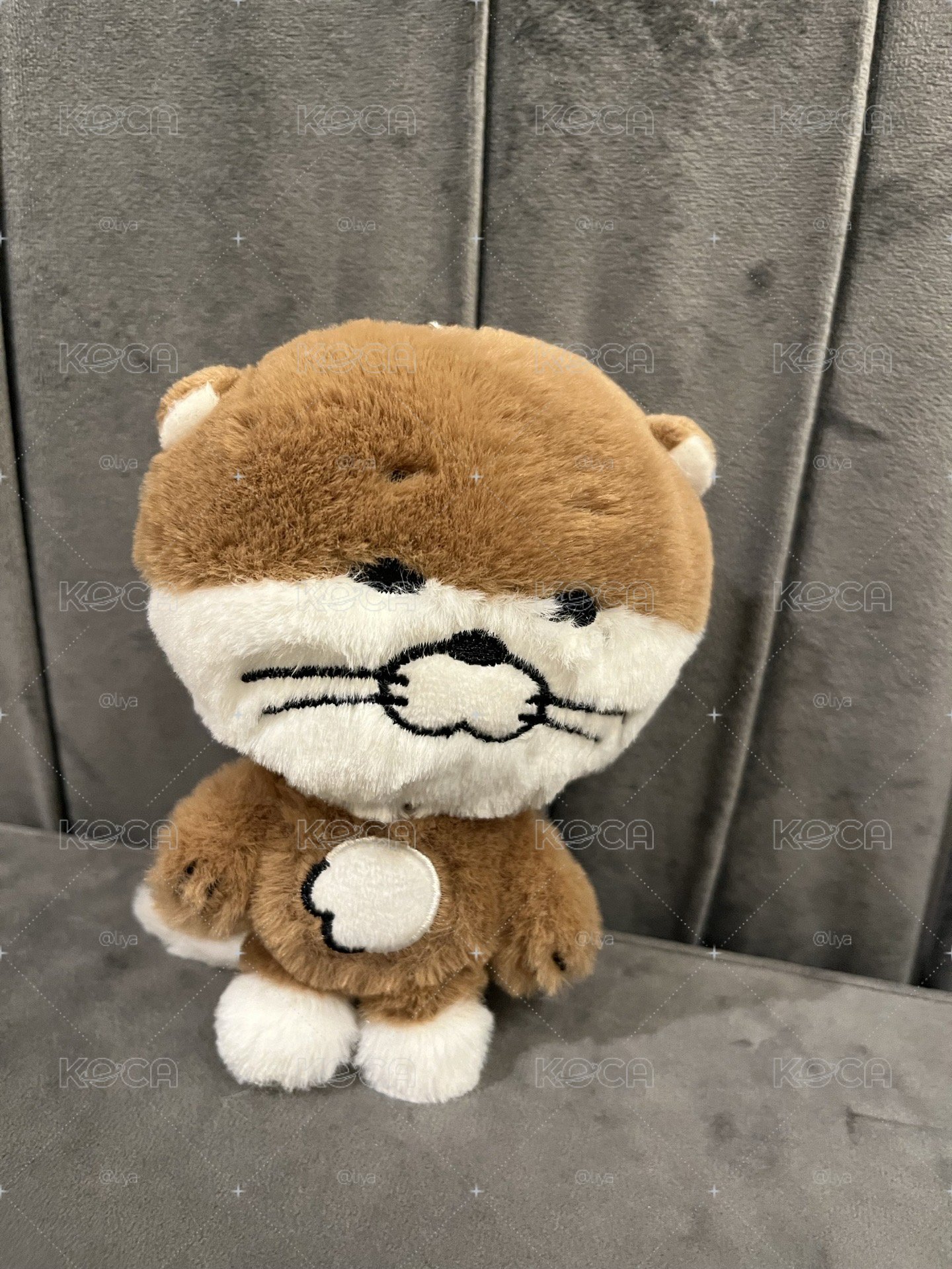 獺令 二販直出