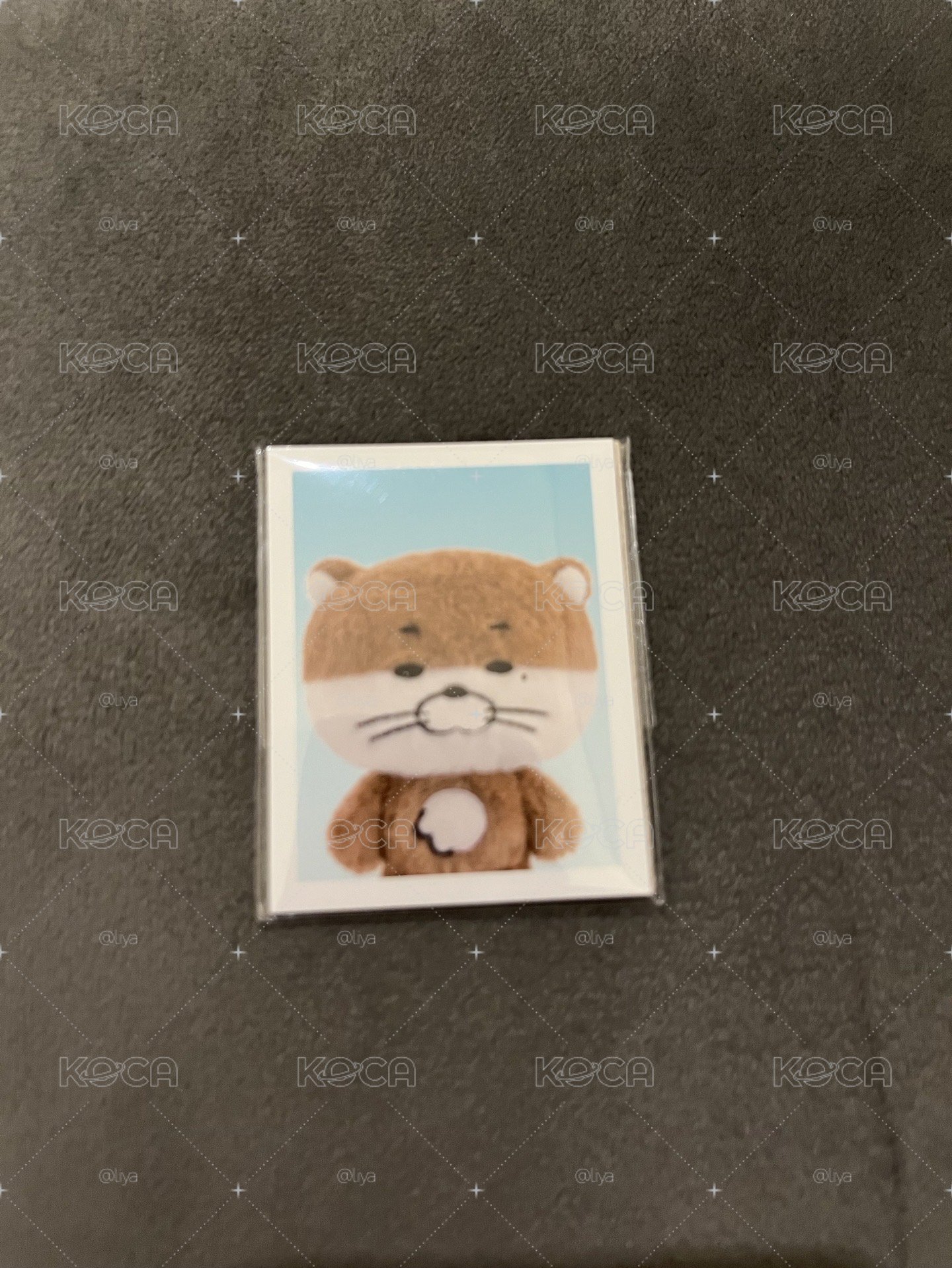 獺令 二販直出