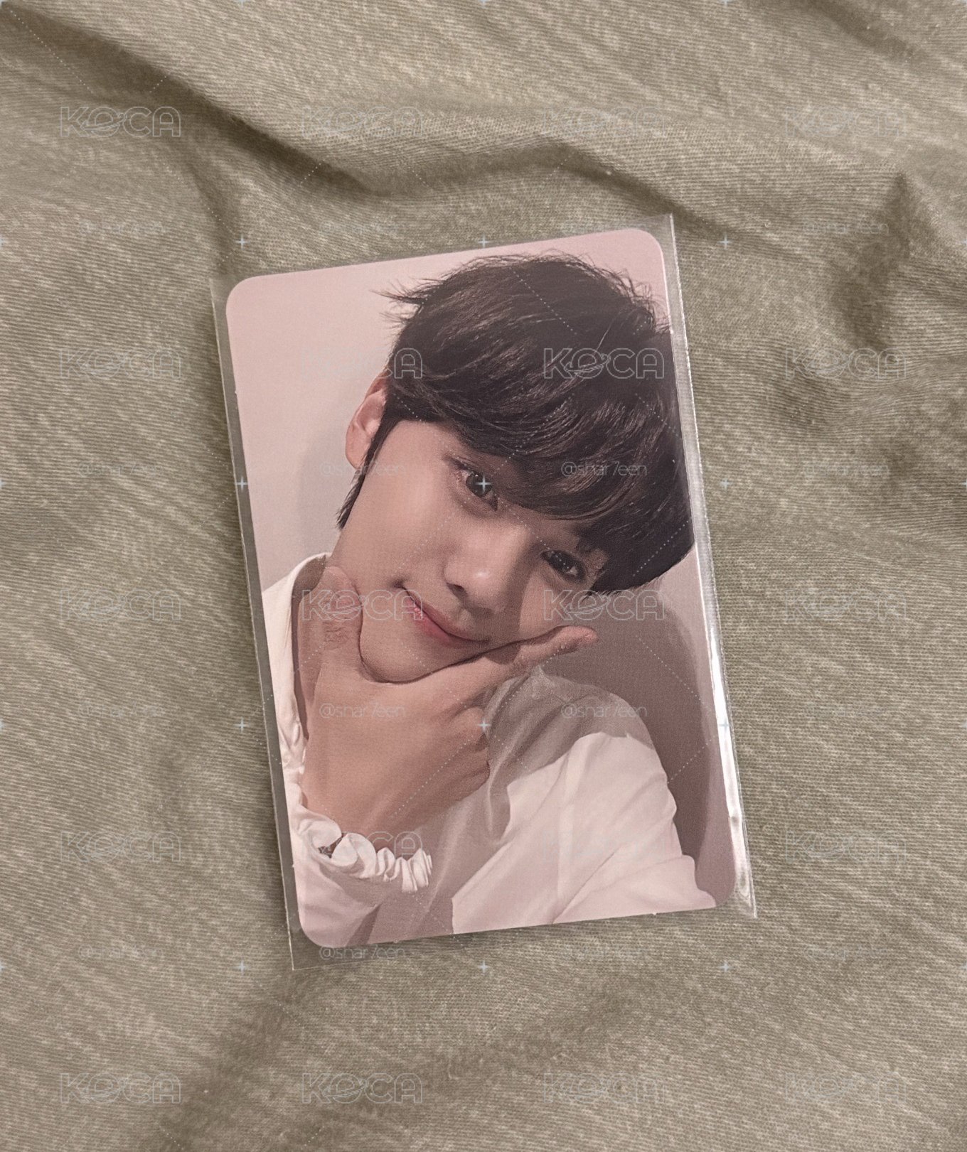 ★帥小狗