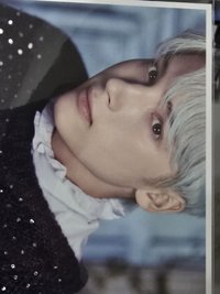 D'FESTA TAIPEI 2023 明信片組 