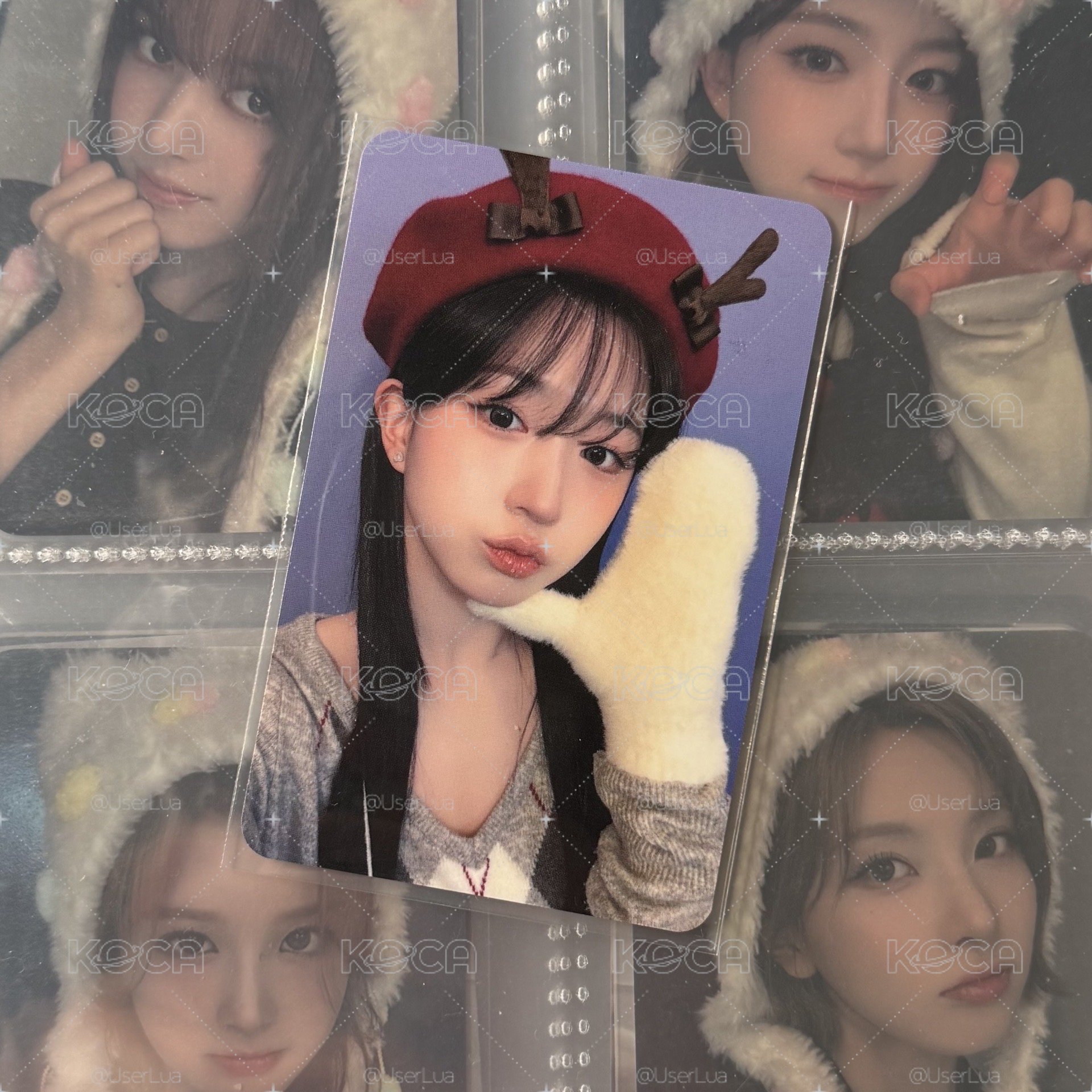 🐳/🪼正規一 ms上海麋鹿 嫄
