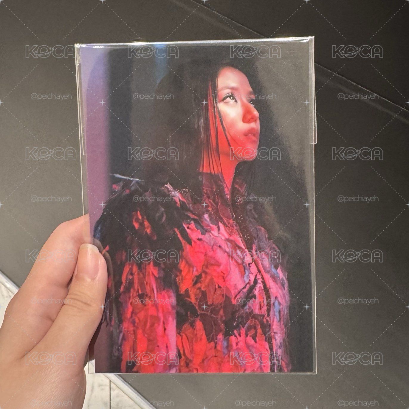 BLACKPINK 快閃jisoo滿額