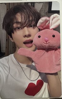 正二 wvs 專輯卡 正二電子專 固配 禎元