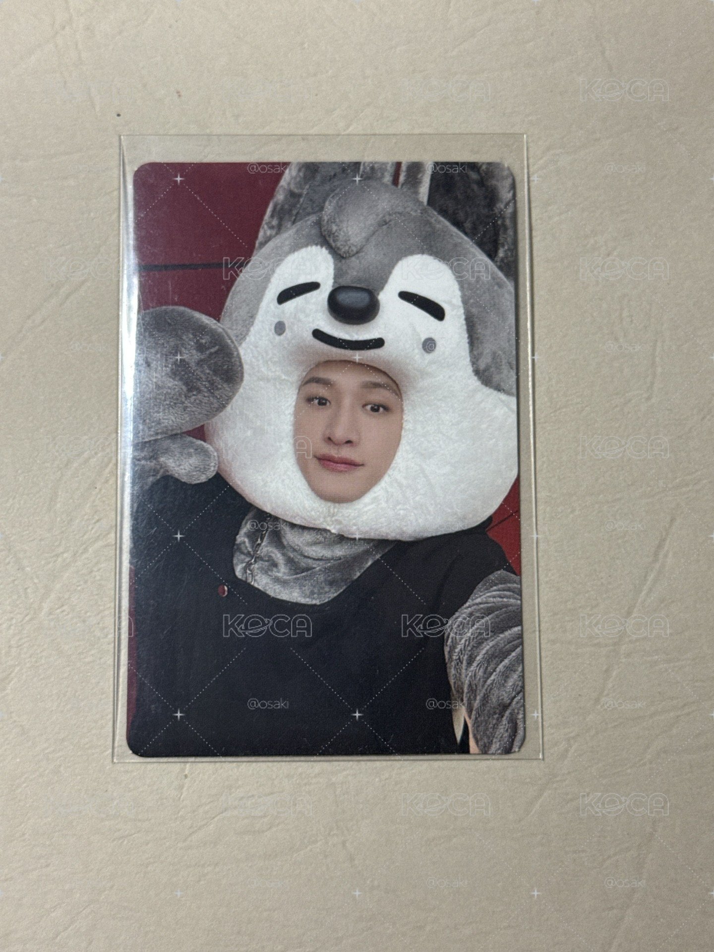 MAXIDENT jyp 特典卡 方燦