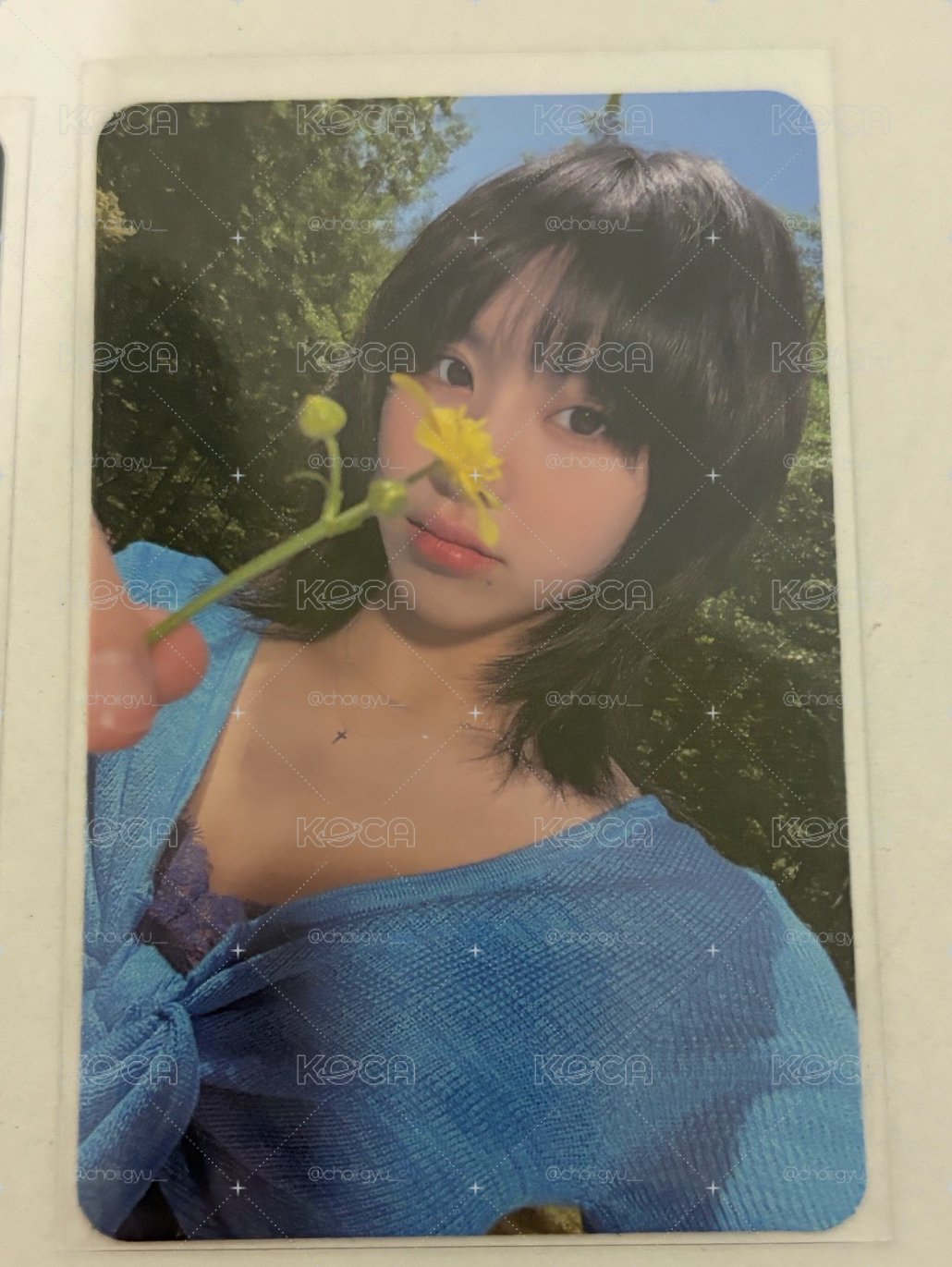 彩