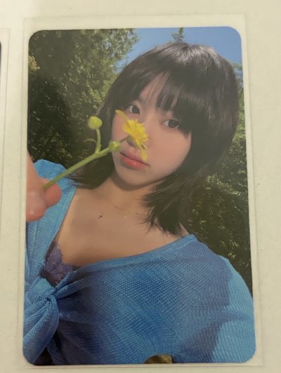 彩