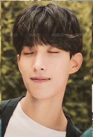 代言 明信片 2022 Bring Green 背面