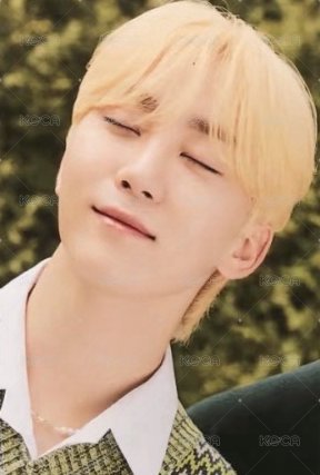 代言 明信片 2022 Bring Green 背面