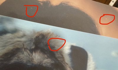 DAY6 2024 The Present Sungjin 照片組