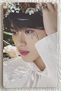 二專小花仙｜丁（需多帶）