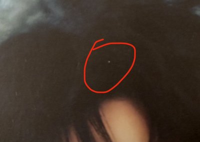 DAY6 2024 The Present 元弼 照片組