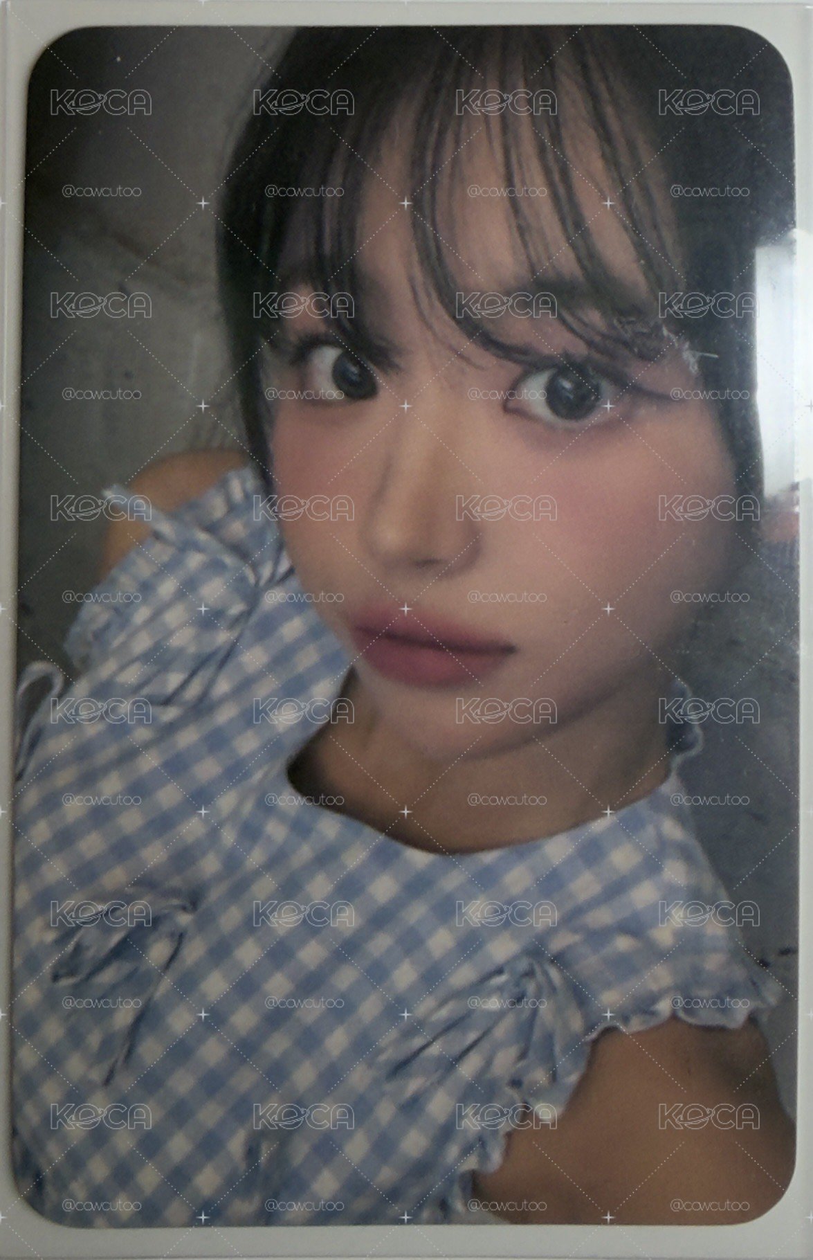 藍鯨日特