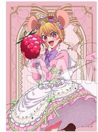 AJ2026 明信片露 照片組 