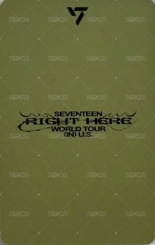 MINI12 wvs USA 美巡場限ver2 幸運卡  背面