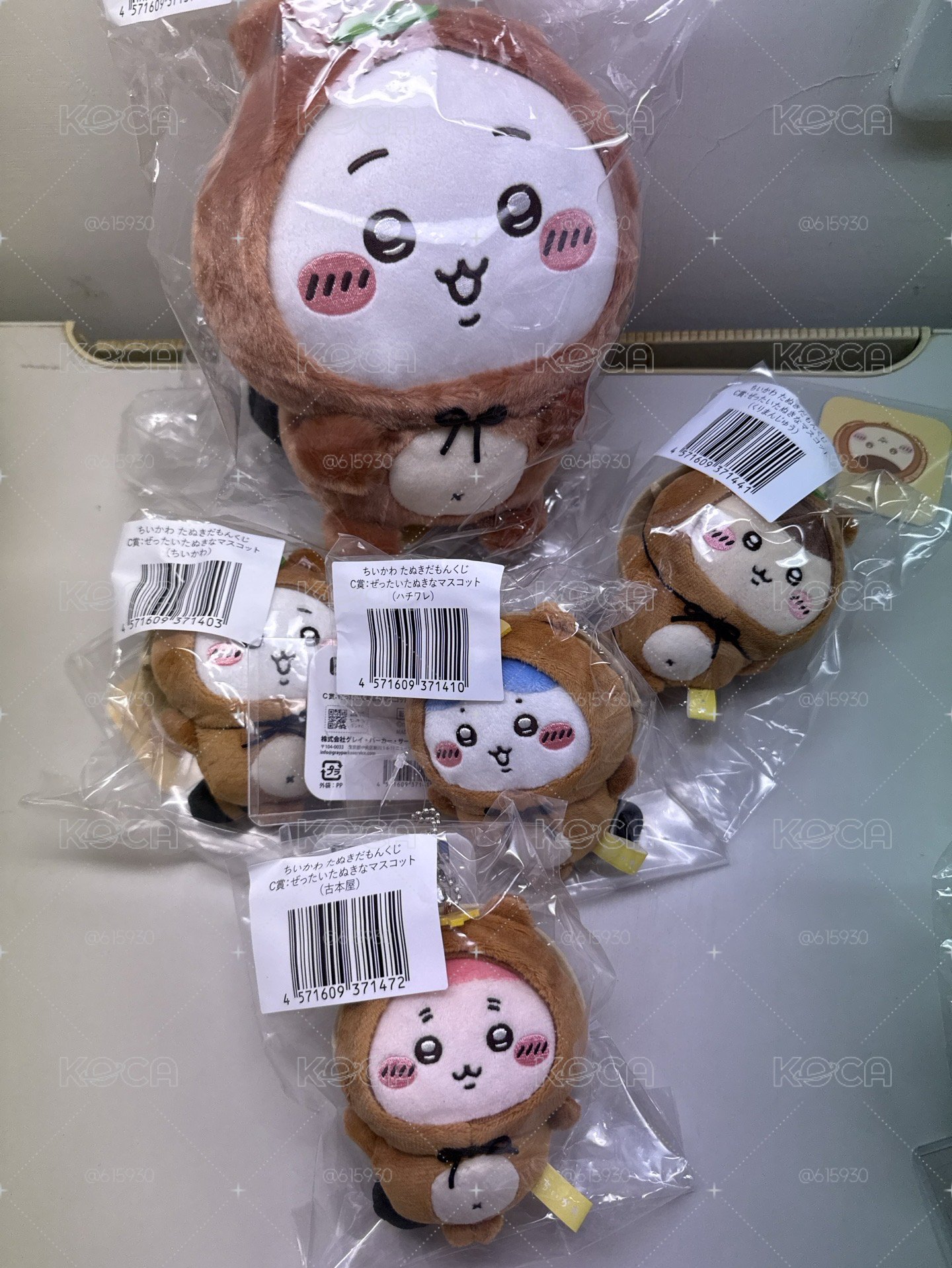 狸貓一番賞