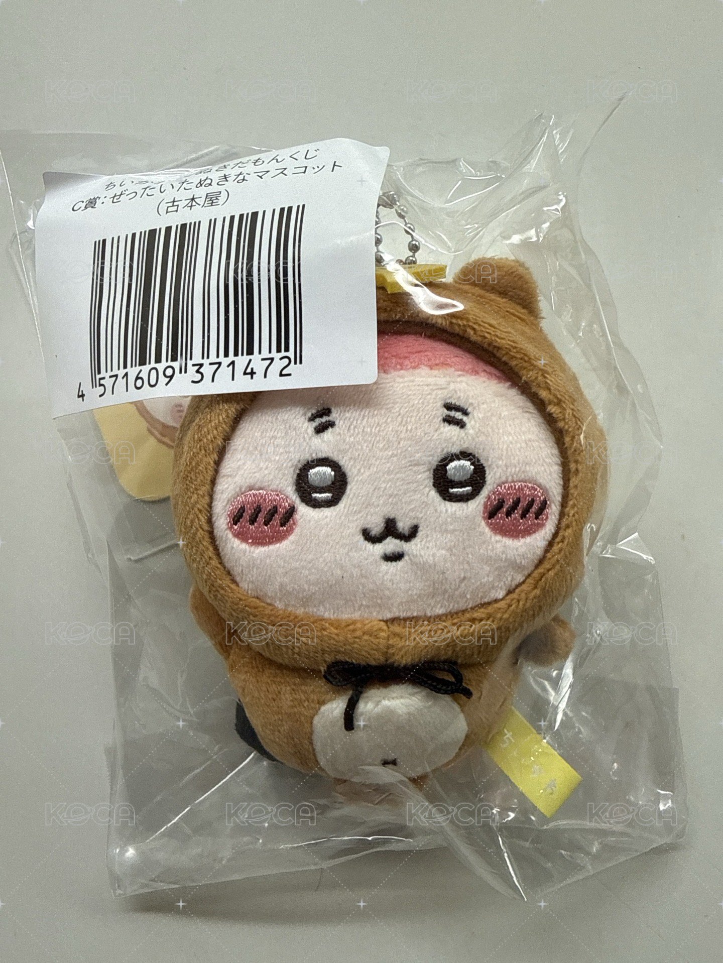 狸貓古本