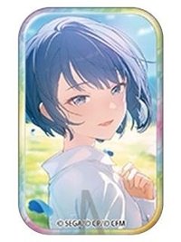 方徽 vol.46 B 徽章 wl花前