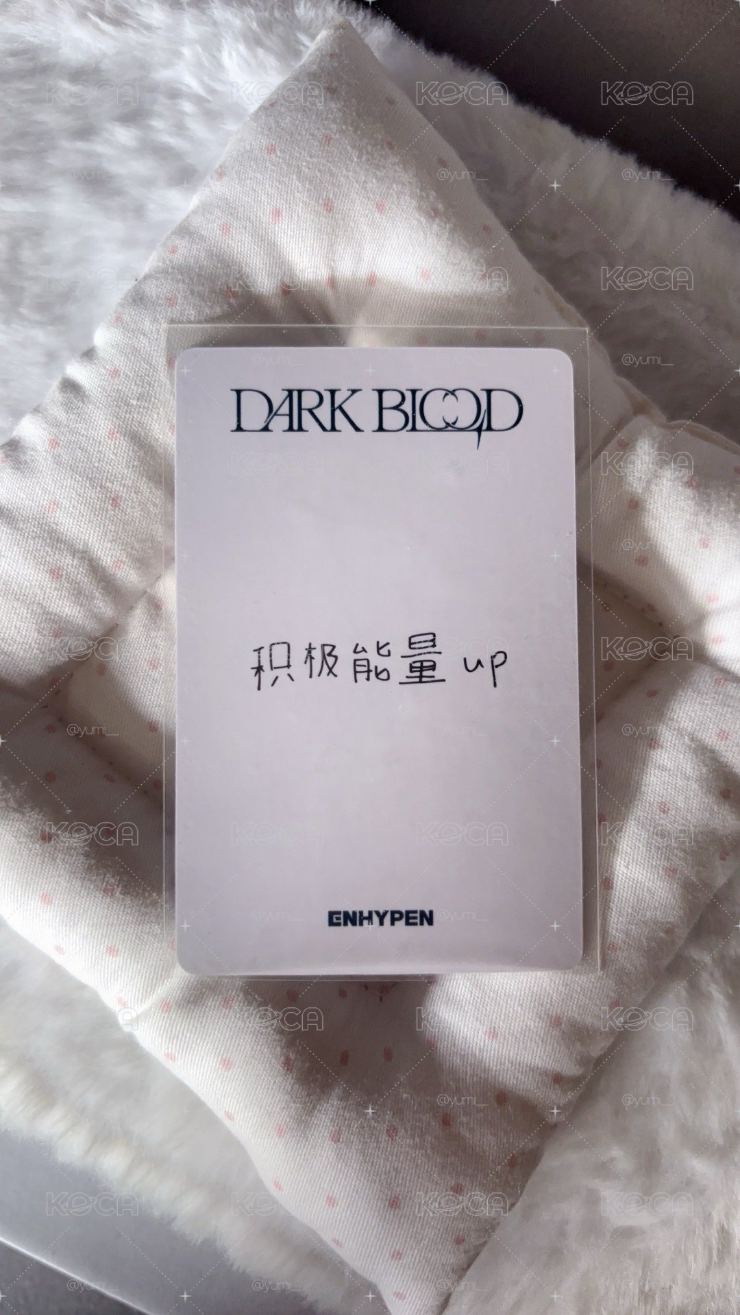 豆努迷四特典卡🦊