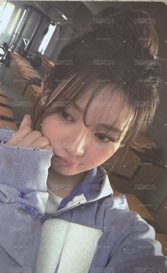 春日茶