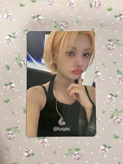 台灣限定 Shunini 吊飾娃 + 12張小卡