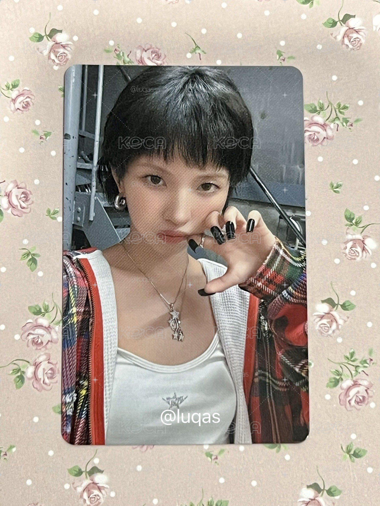台灣限定 Shunini 吊飾娃 + 12張小卡