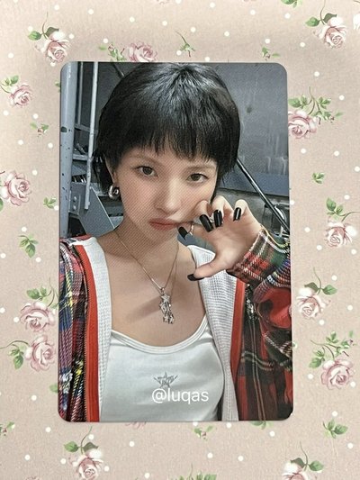 台灣限定 Shunini 吊飾娃 + 12張小卡