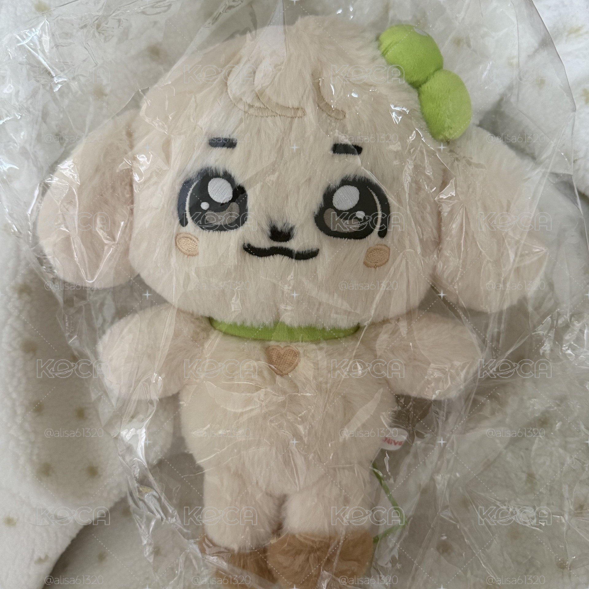 30cm安大娃
