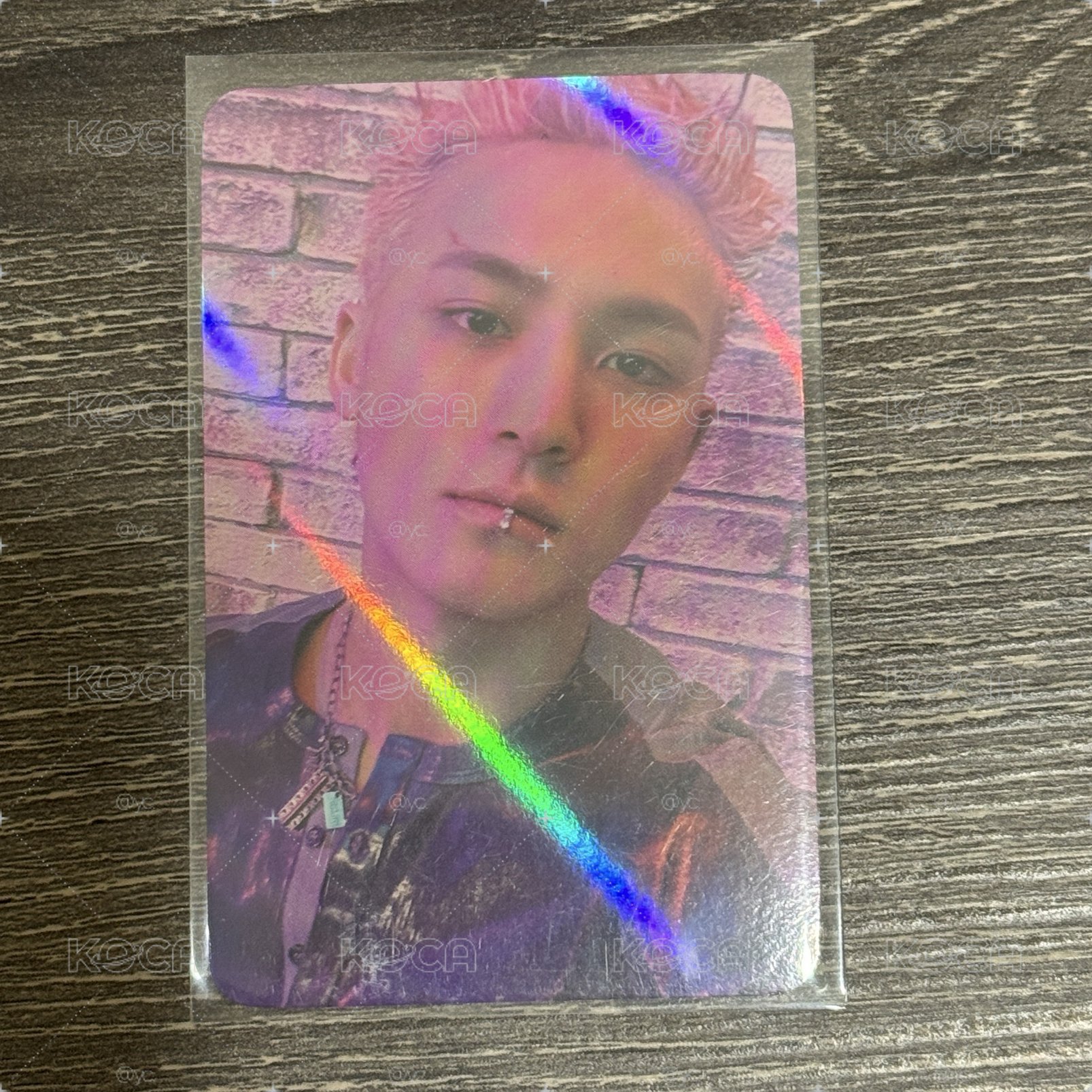 正規五 ms特典 奎