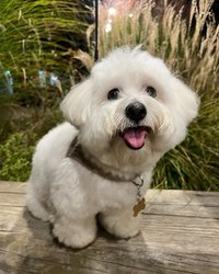 꾸마엄마🍠3天內出貨