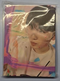 19（Woozi克拉盤）